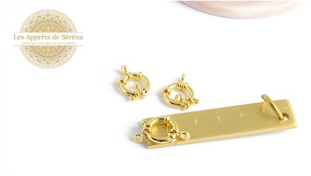 Fermoirs à ressort 14mm en acier 304
