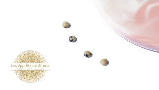 Cabochons 4mm en jaspe dalmatien