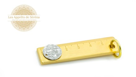 sequin acier 15mm