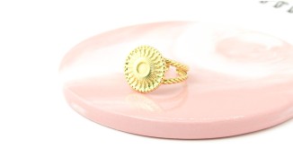 copy of Bague scarabée acier plaqué or 18K