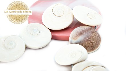 Grande perle pour pendentif oeil de Sainte Lucie en coquillage naturel