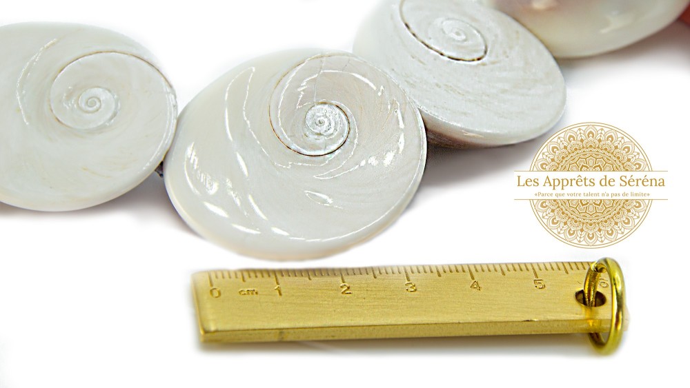 Grande perle pour pendentif oeil de Sainte Lucie en coquillage naturel