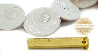 Grande perle pour pendentif oeil de Sainte Lucie en coquillage naturel