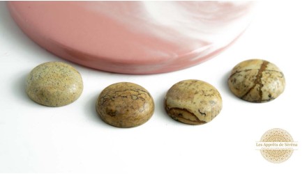 Cabochon 20mm en jaspe paysage naturelle