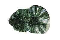 Seraphinite